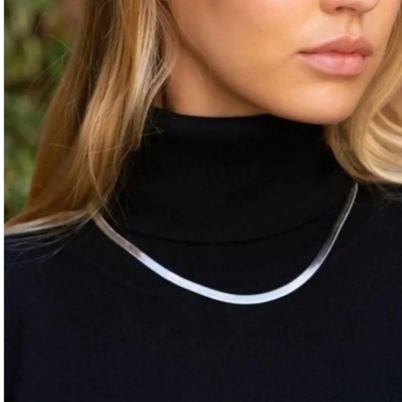 💋Herringbone Necklace NWT - Picture 1 of 1